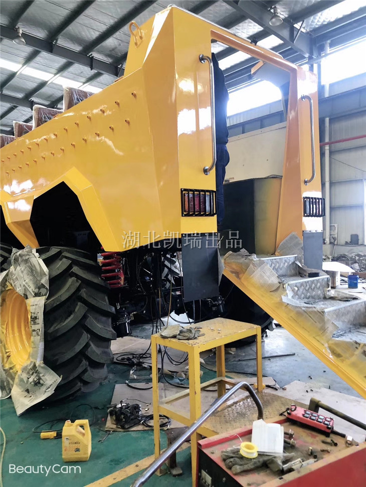 沙漠沖浪車后爬梯 沙漠沖浪車后爬梯